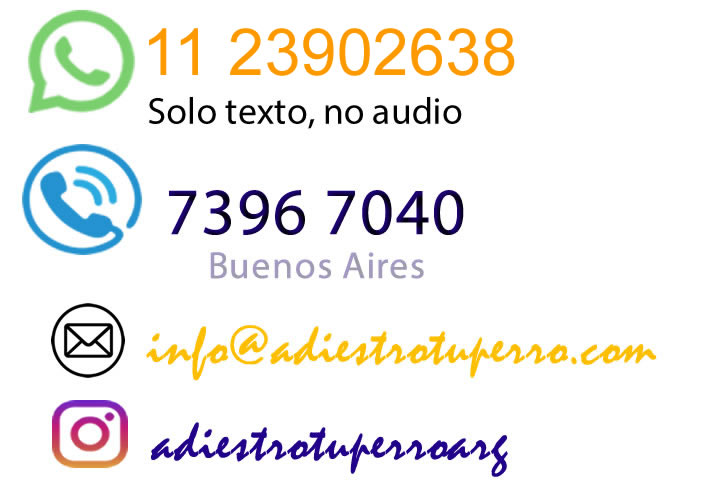 Contacto con  adiestrotuperro.com